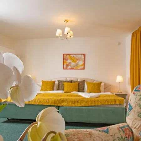 Bed & Breakfast My *