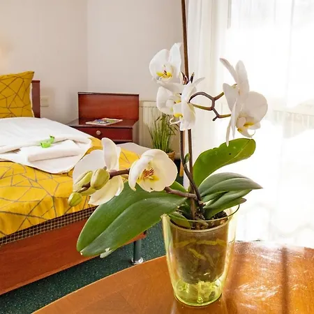 Bed & Breakfast My